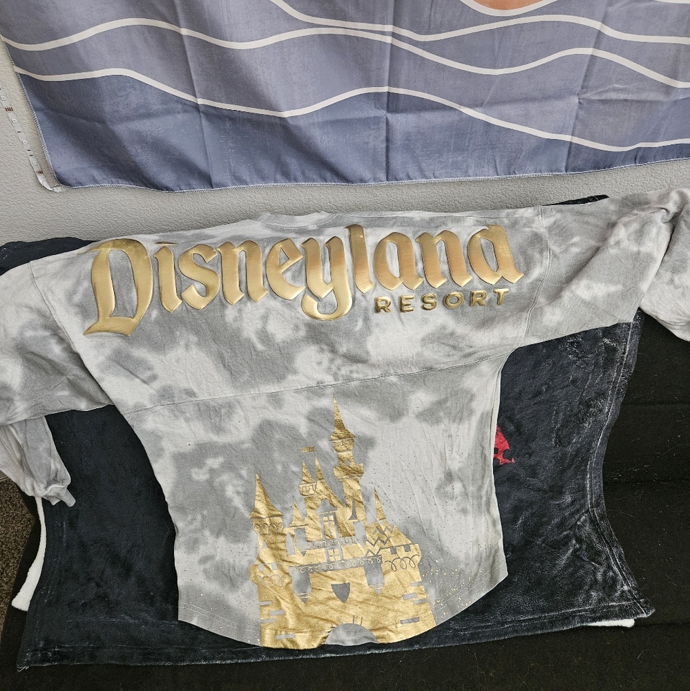 Unisex Disneyland Spirit Jersey